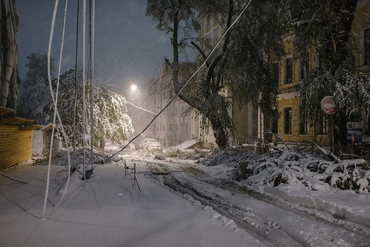 Plăieșu_Floriile_2