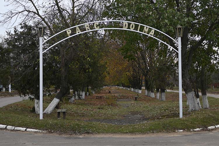 Park