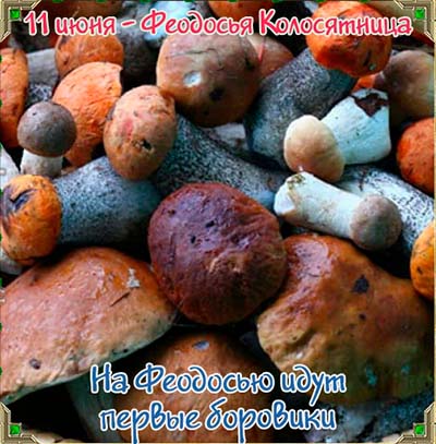 народный календар12ь 11 июня