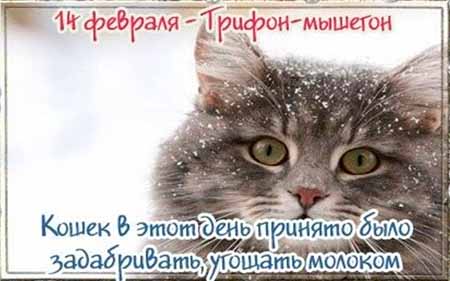 НАРОДН12ЫЙ КАЛЕНДАРЬ