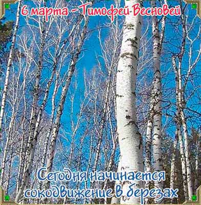 календарь12