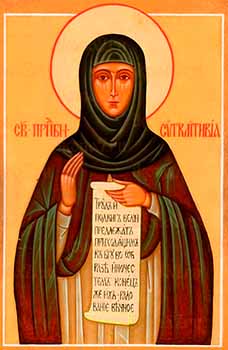 Синклитики12я